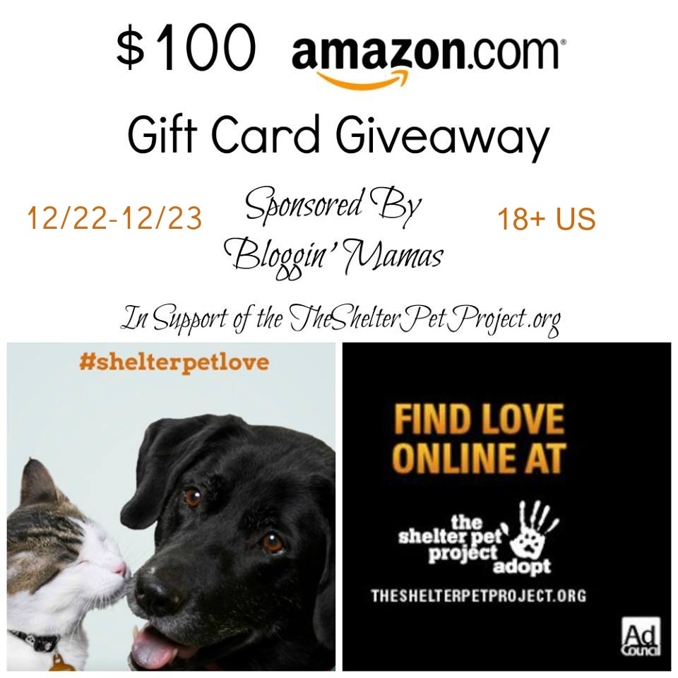 $100 Amazon Giftcard Giveaway spnosored by Bloggin' Mamas in support of Shelter Pets