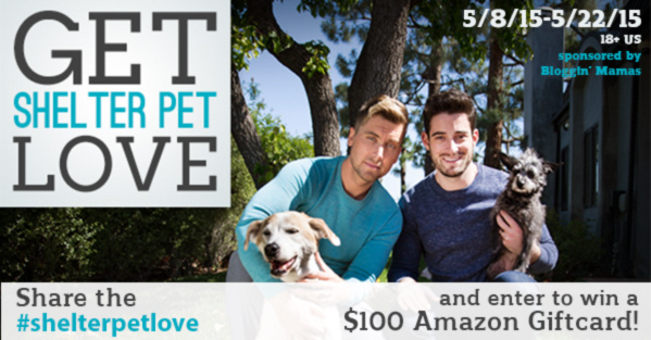 #shelterpetlove $100 Amazon Giftcard Giveaway