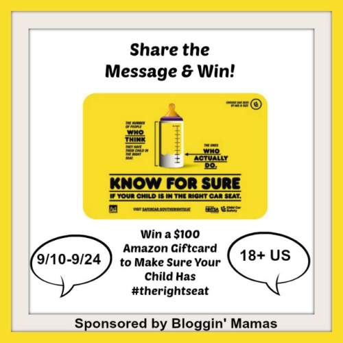 Spread the Message and Win! Help everyone make sure they have #therightseat for their child. Giveaway ends 9/24/15. US 18+