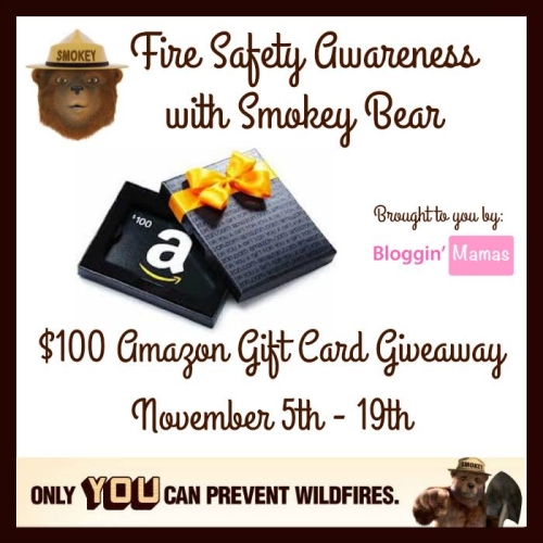 Fire Safety Awareness with Smokey Bear- $100 Amazon GC Giveaway- Ends 11-19-15. US 18+. 