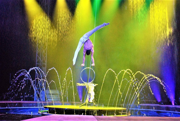 Cirque Italia North Miami